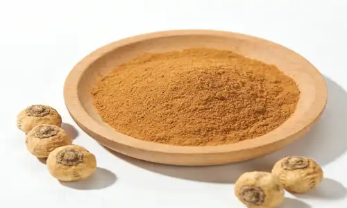 Where to Source Premium Maca Root Extract Powder?